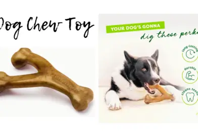 Benebone wishbone a durable Chew Toy for aggressive Chewers