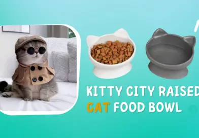 Kitty City Raised Cat Food Bowl